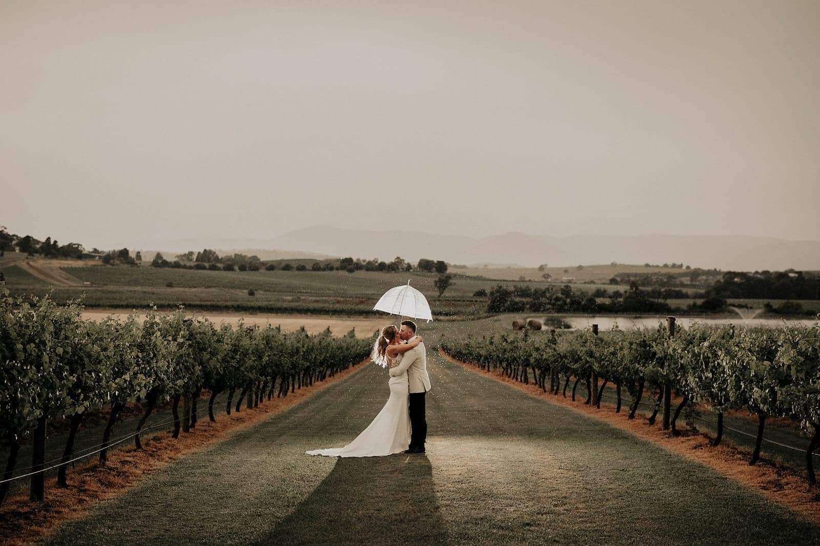 Acacia Ridge Winery Yarra Valley