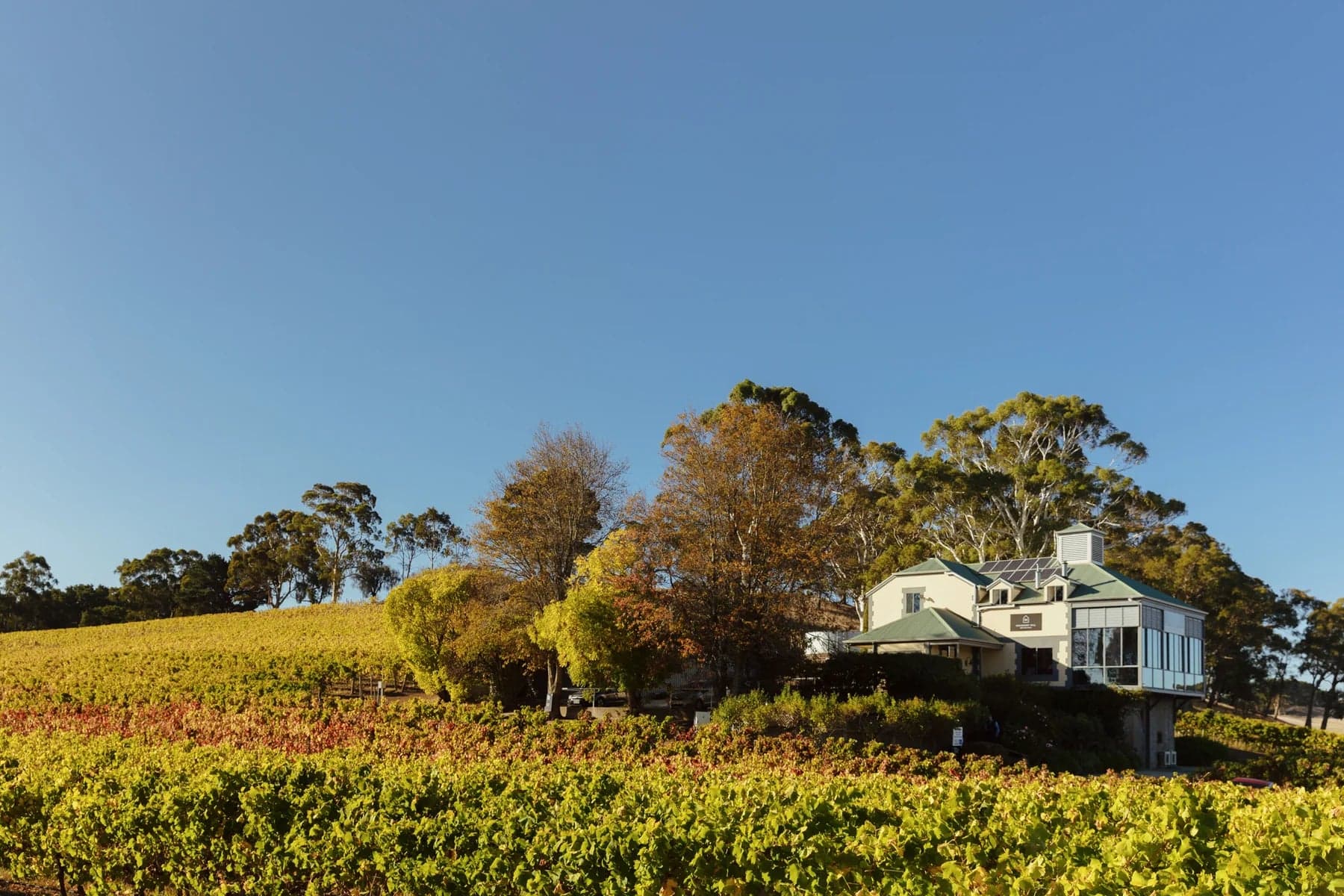 Hahndorf Hill Winery