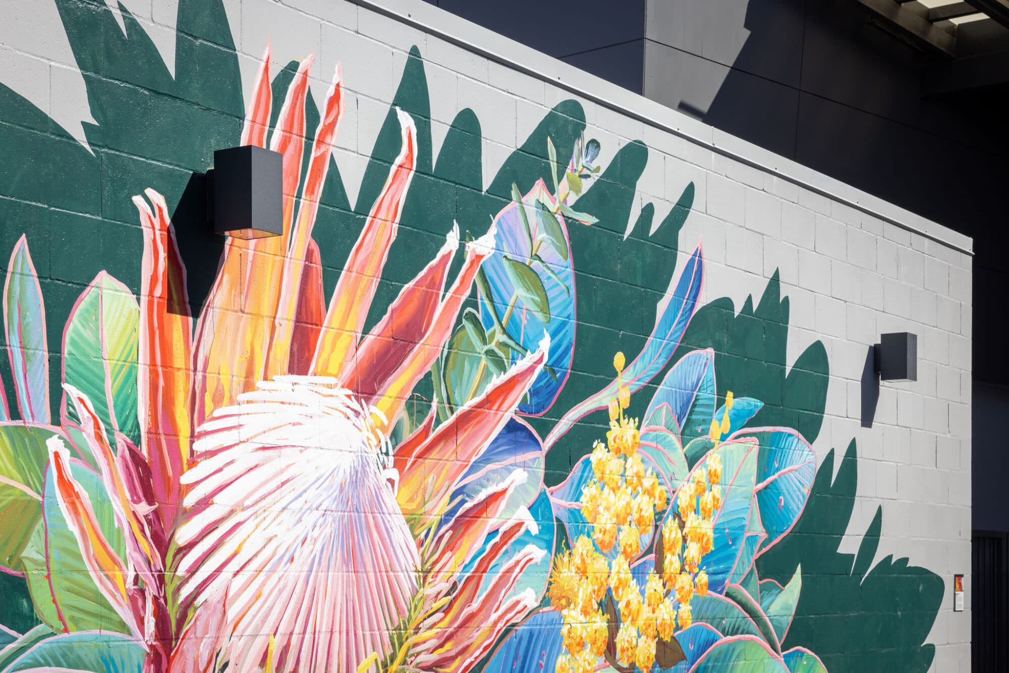 aMBUSH Gallery — gallery in Waterloo, Sydney