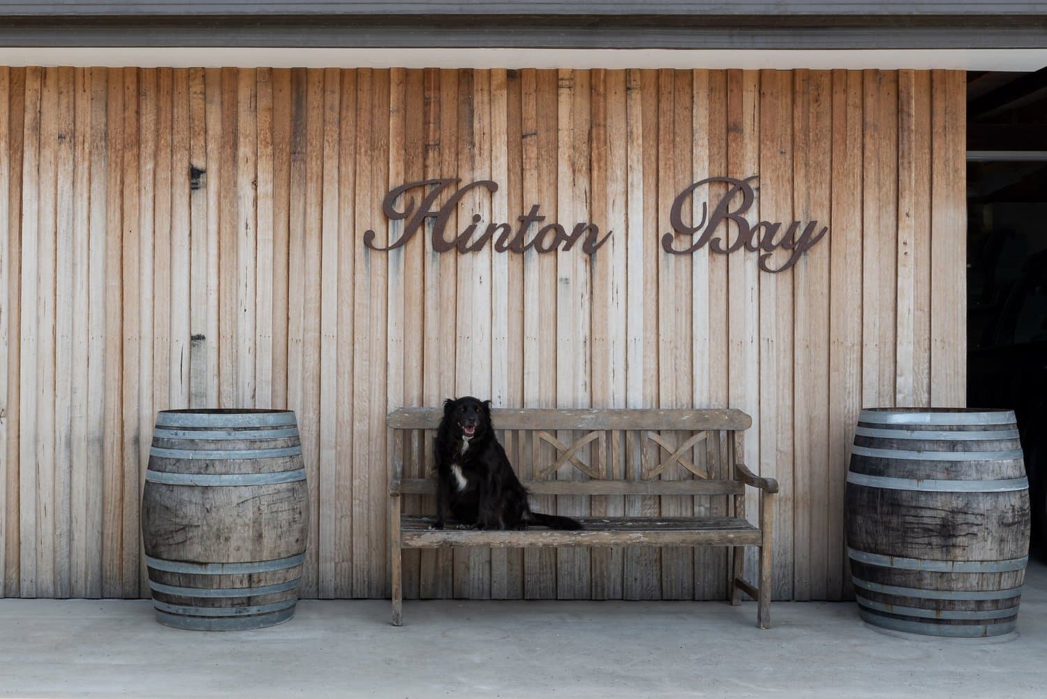 Hinton Bay Vineyard