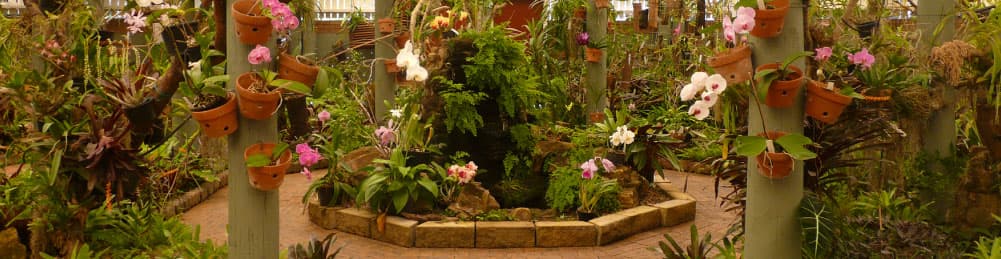Mackay Orchid House