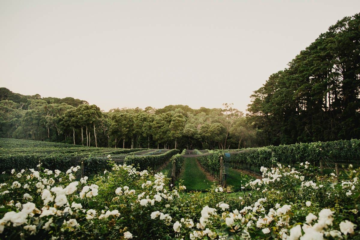 Mantons Creek Estate