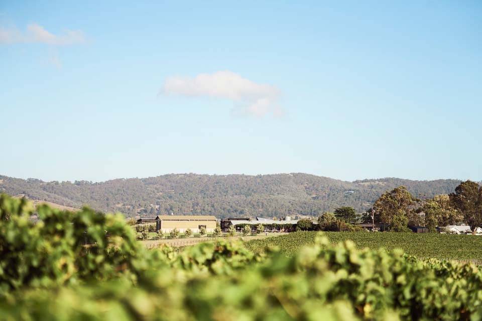 Zonzo Estate Yarra Valley