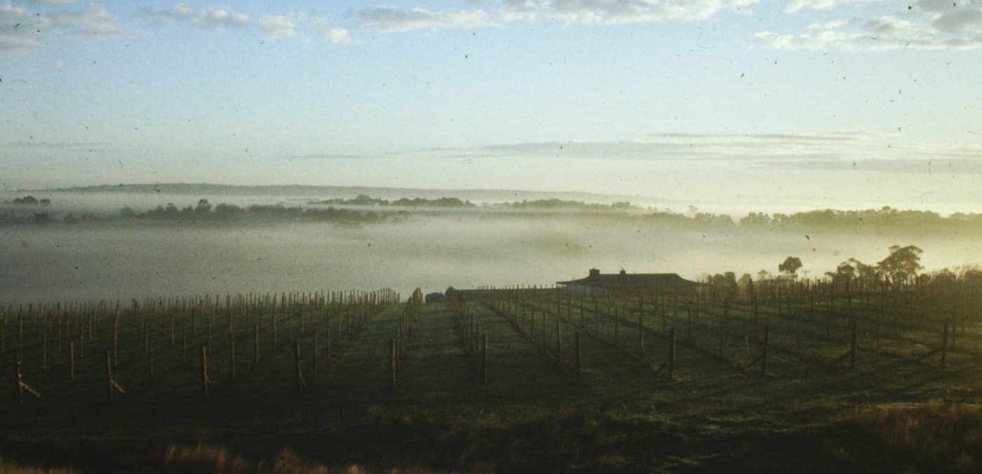Moorooduc Estate