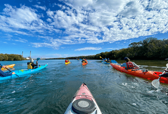 Adventure Kayaking SA | Dolphin Sanctuary Tours