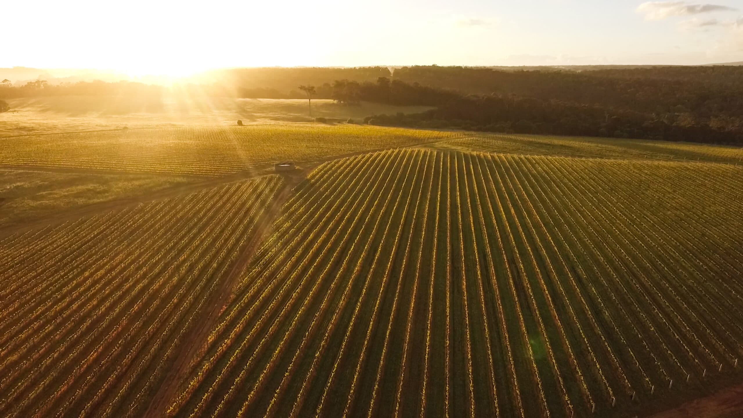 Redgate Wines