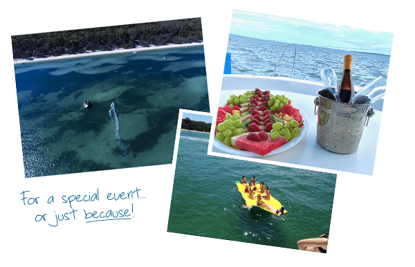 Brisbane Yacht Charters — boat function venue in Cleveland, Brisbane