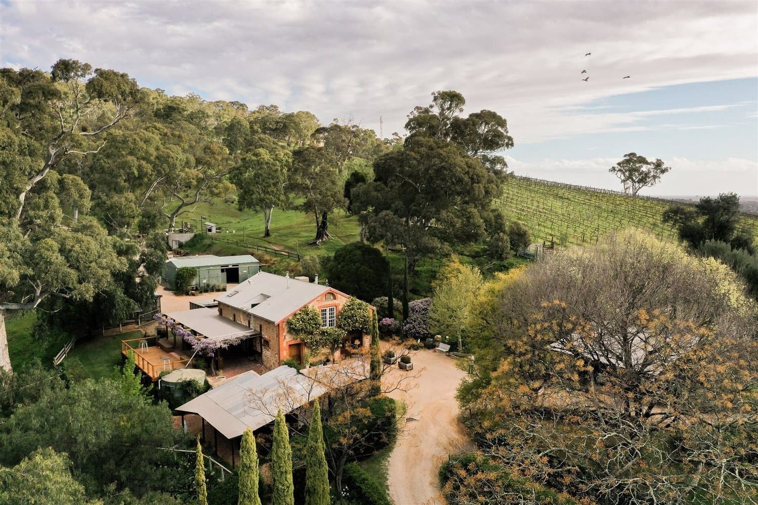 Marybank Estate – Weddings – Bed & Breakfast – Wine — outdoor space in Rostrevor, Adelaide