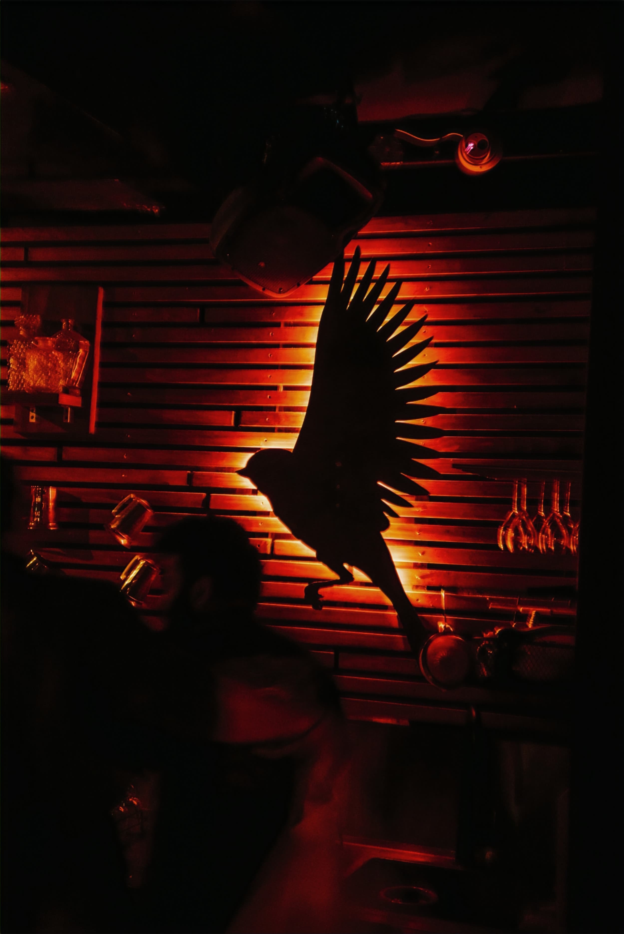 Blackbird bar