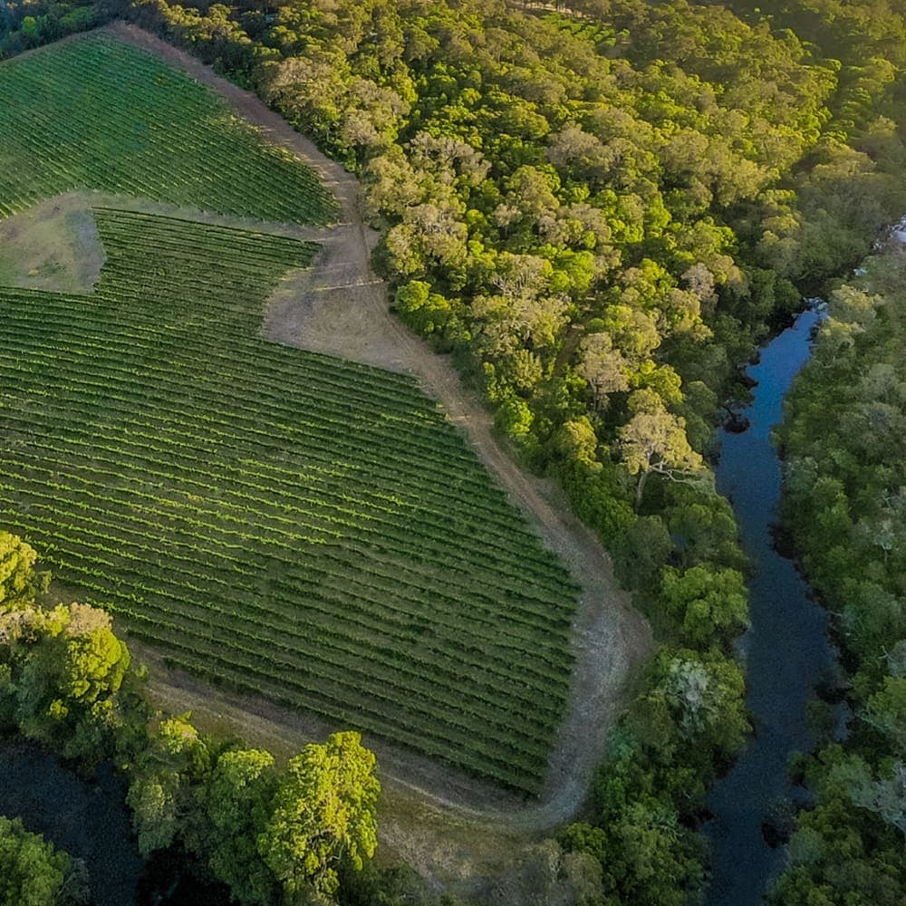 Margaret River Wine Association