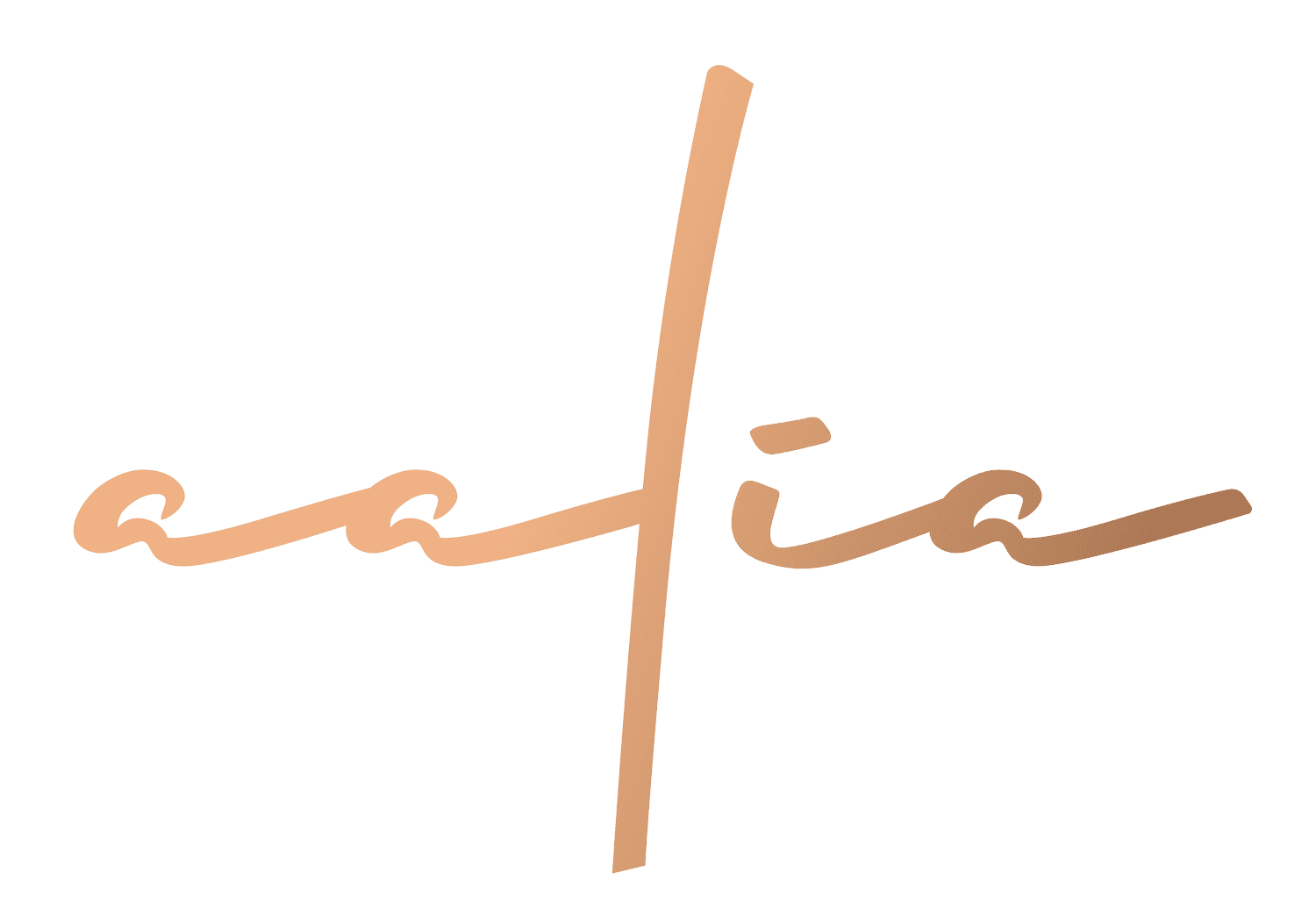 Aalia Restaurant Sydney — restaurant in Sydney