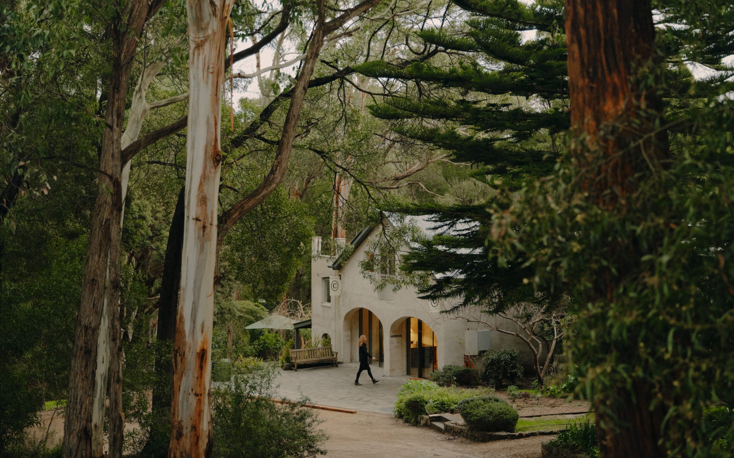 The Cambium, Red Hill