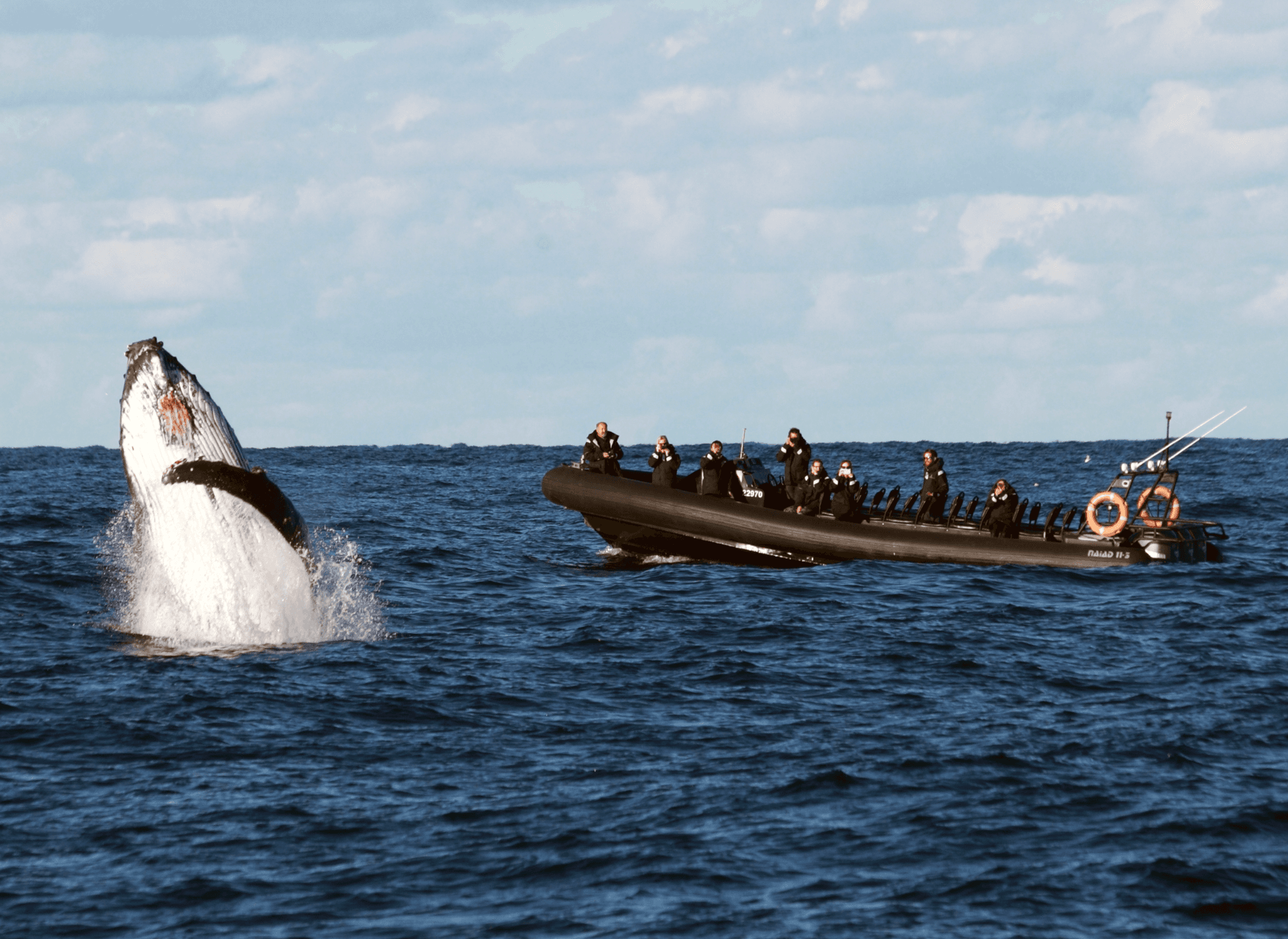 Ocean Extreme