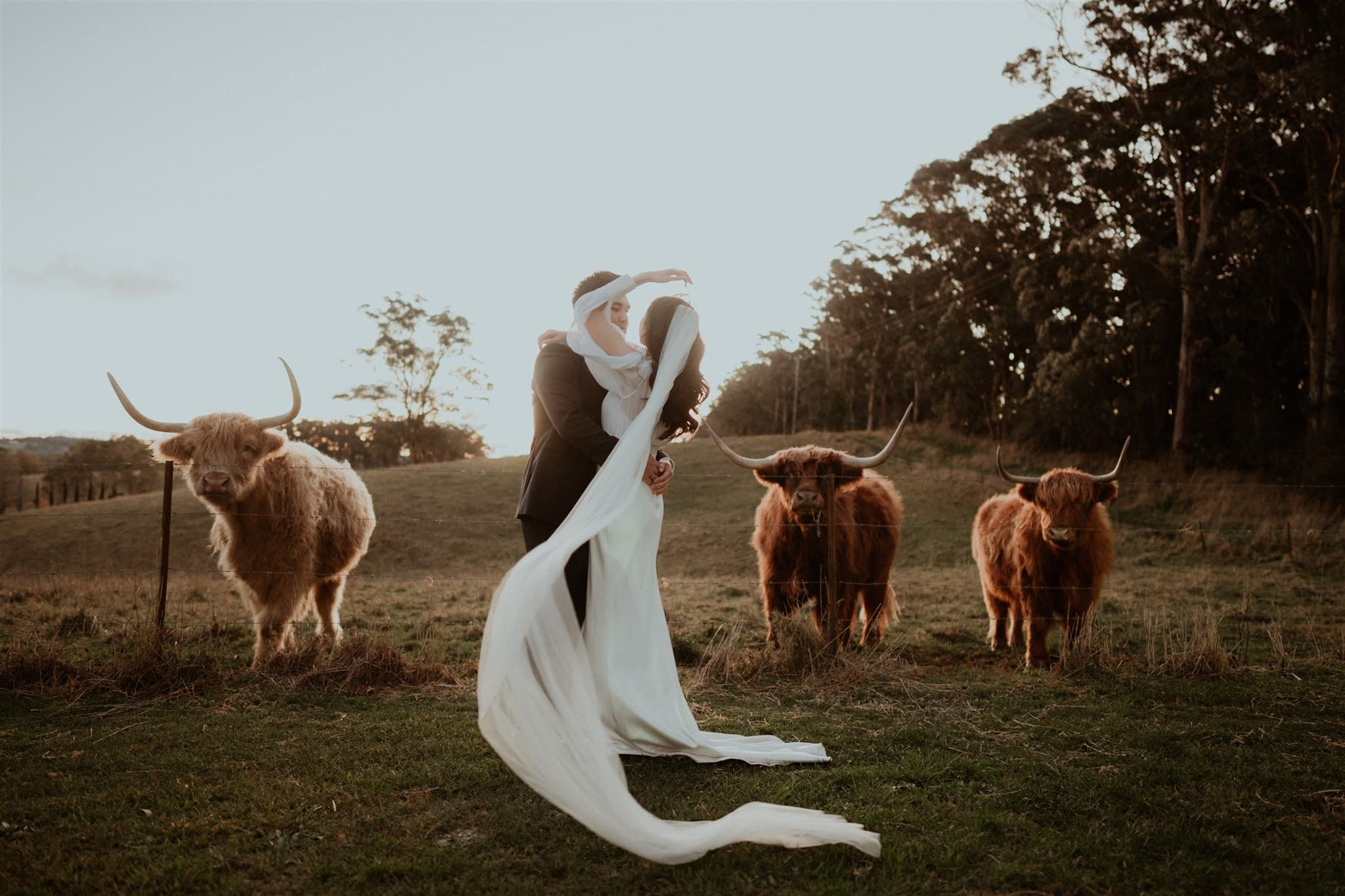 Mali Brae Farm