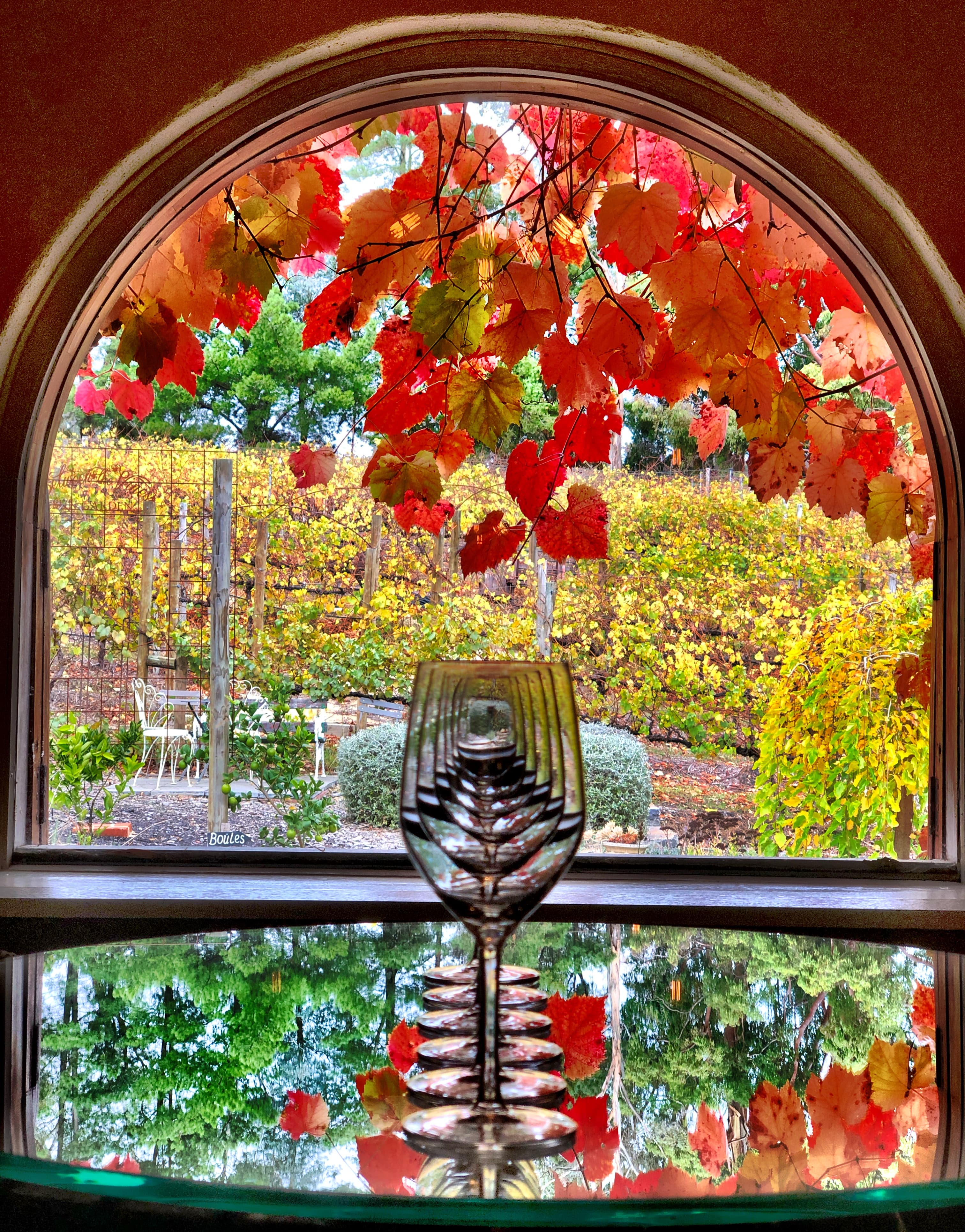 Between the Vines Cellar Door
