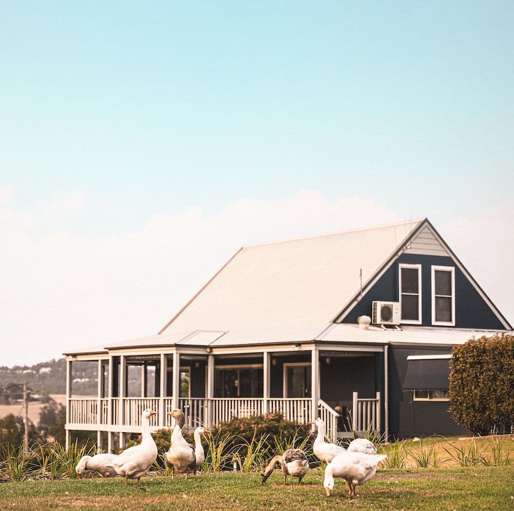 Ivanhoe Wines Cellar Door Hunter Valley