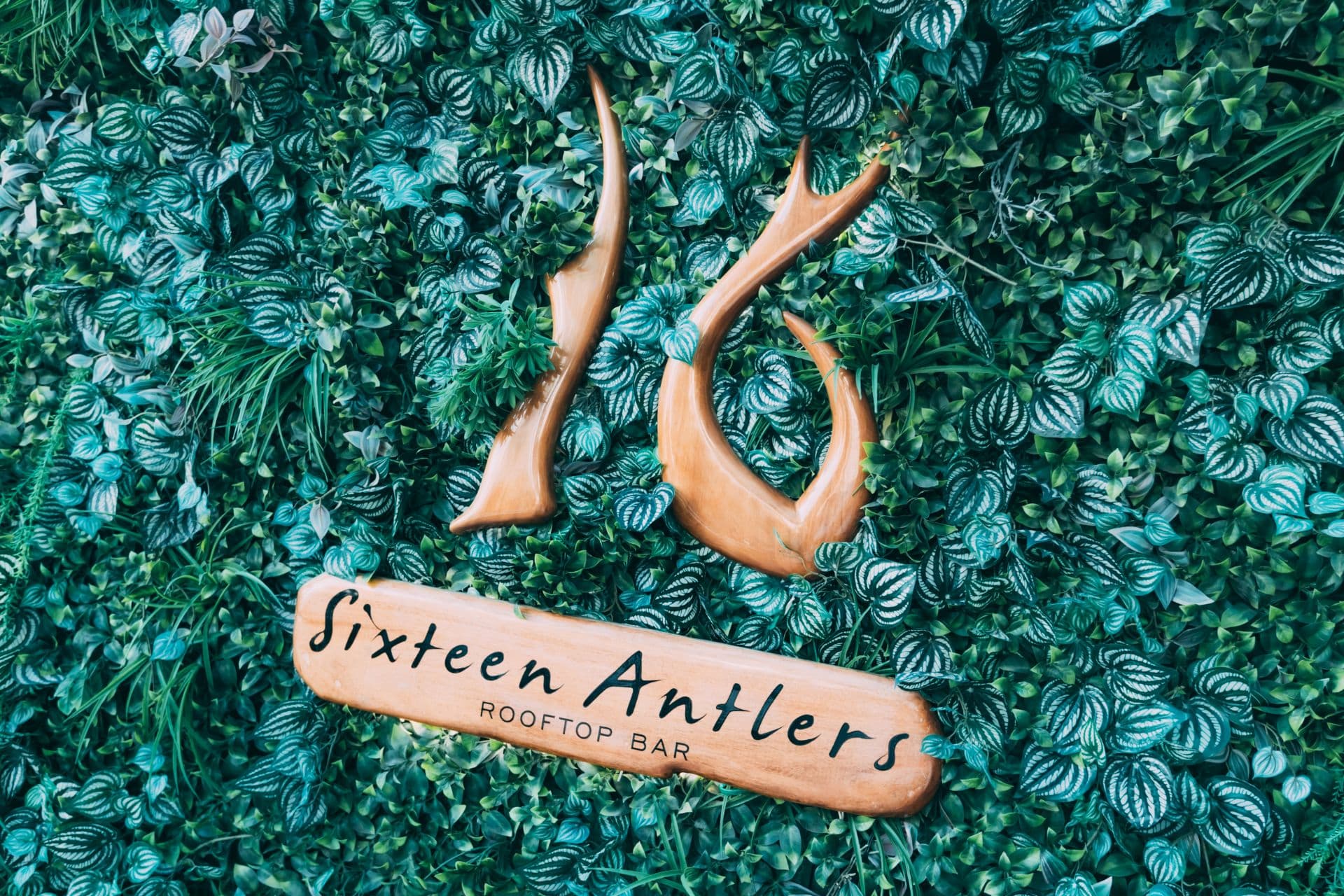 Sixteen Antlers Rooftop Bar — rooftop in Brisbane City, Brisbane