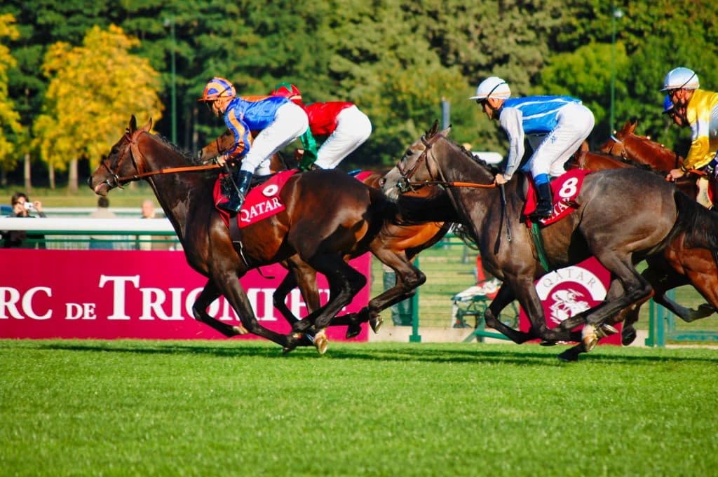 Murrumbidgee Turf Club