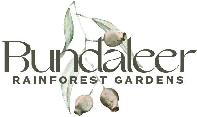 Bundaleer Rainforest Gardens — outdoor space in Brookfield, Brisbane
