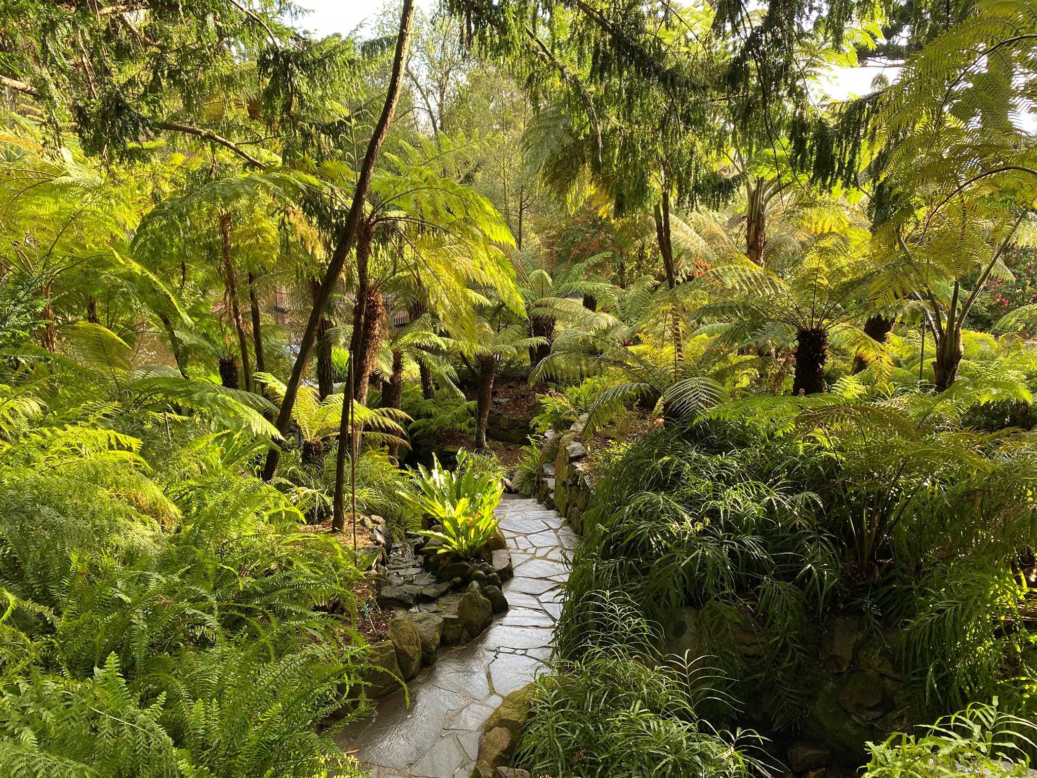 Royal Tasmanian Botanical Gardens