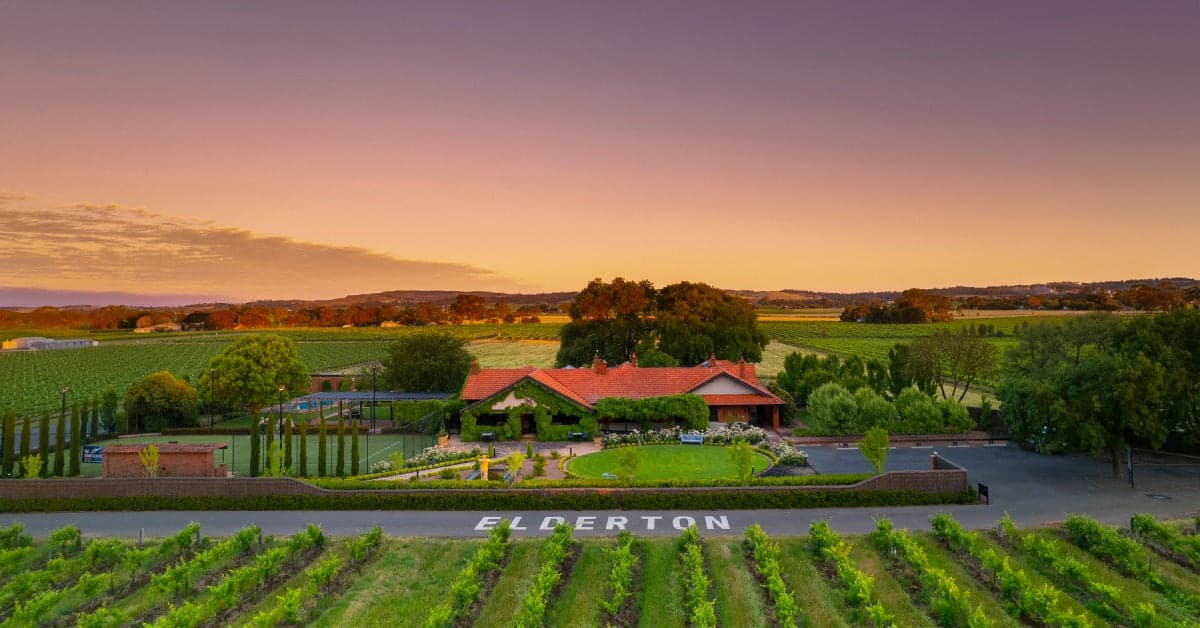 Elderton Wines - Barossa Valley Wineries — winery in Nuriootpa, Barossa Valley