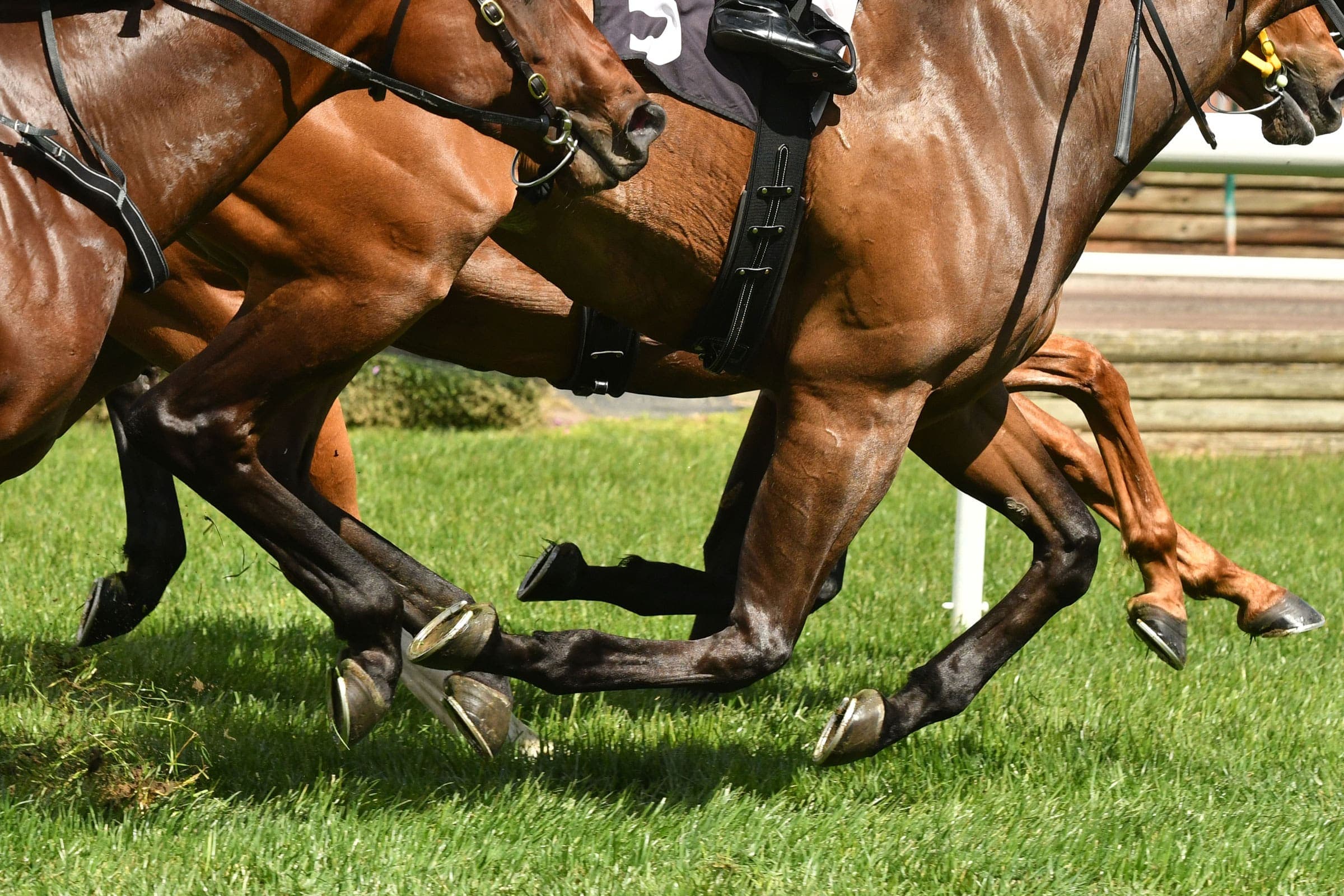 Newcastle Racecourse