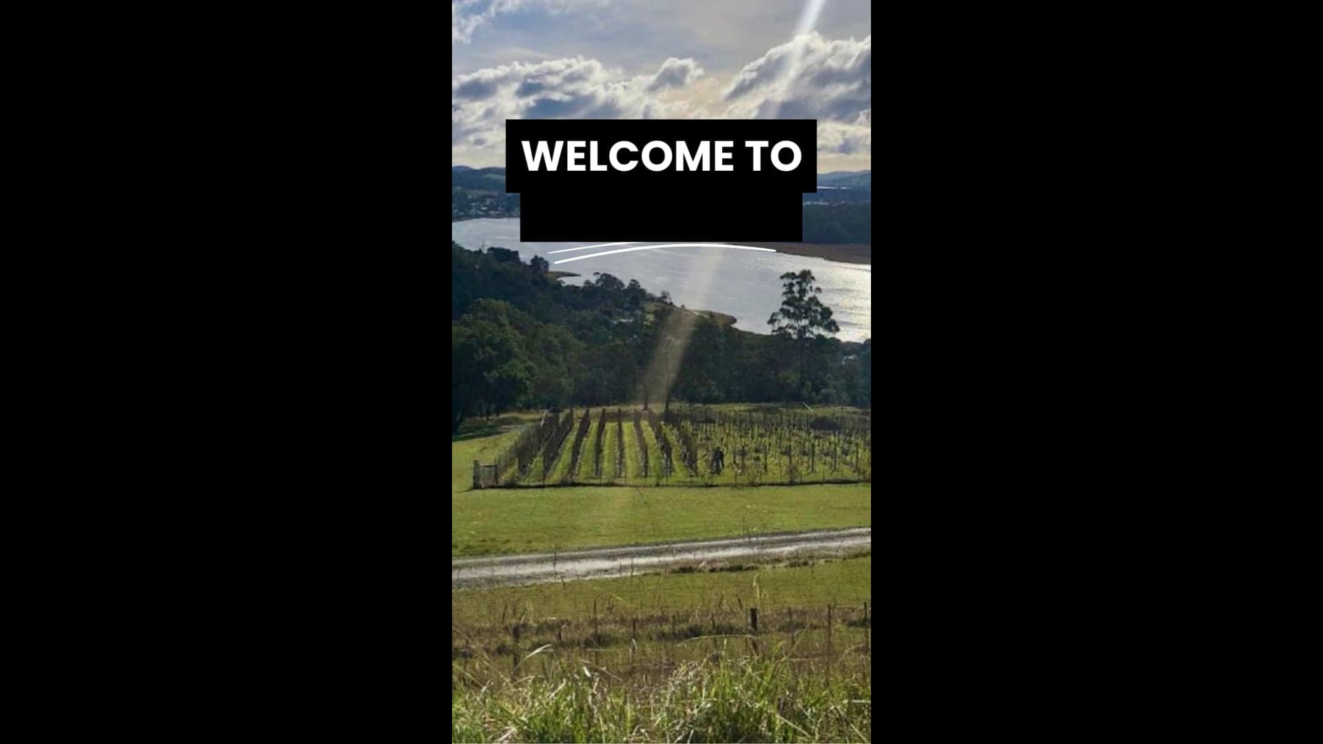 Tamar Valley Wine Centre