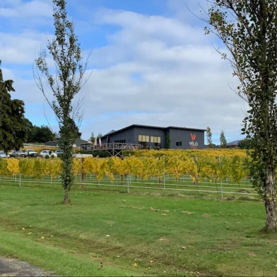 Velo Wines
