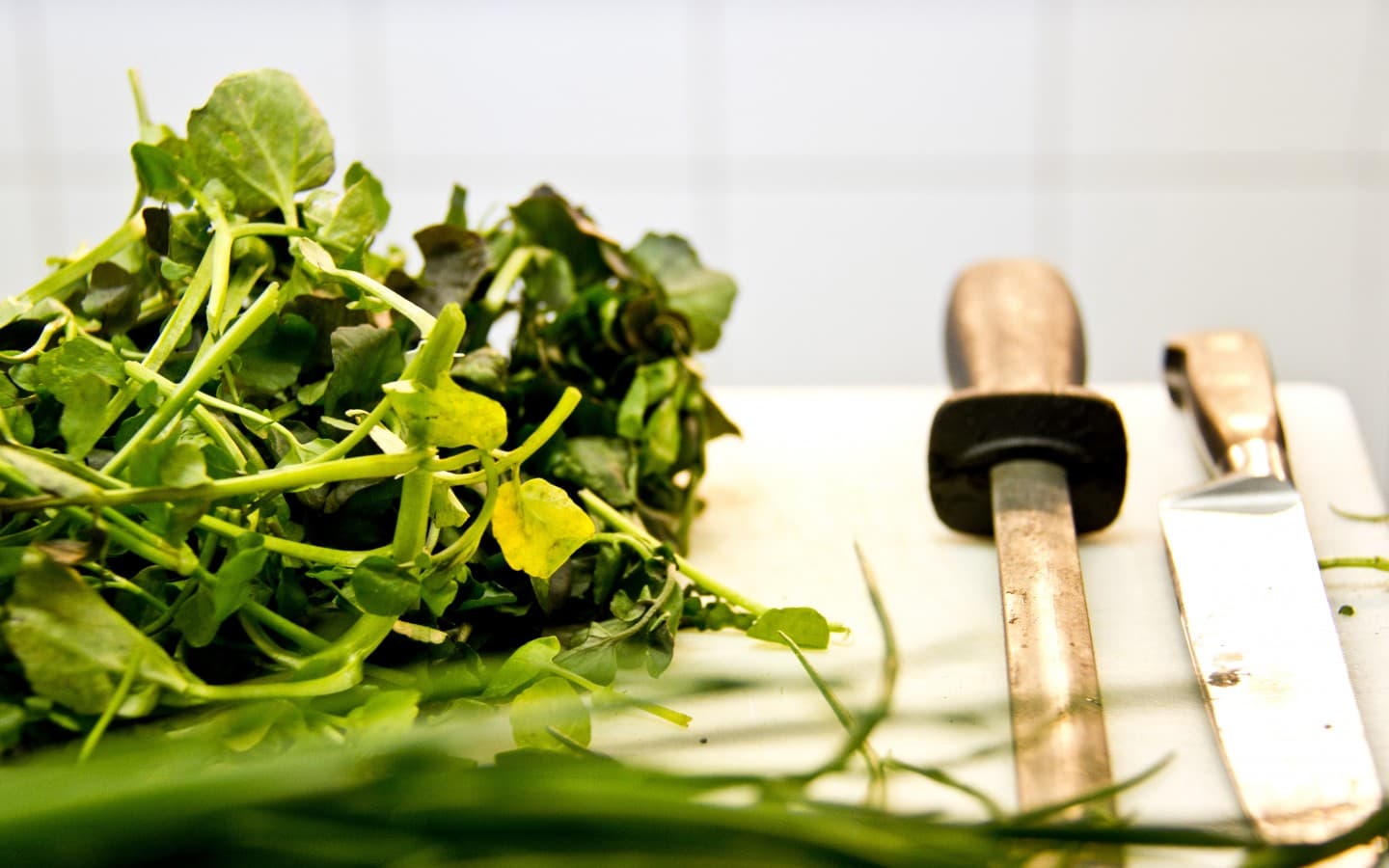 Sprout Catering & Kitchen