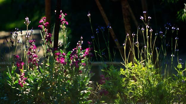 Bentwood Olive Grove Accommodation & Function Centre