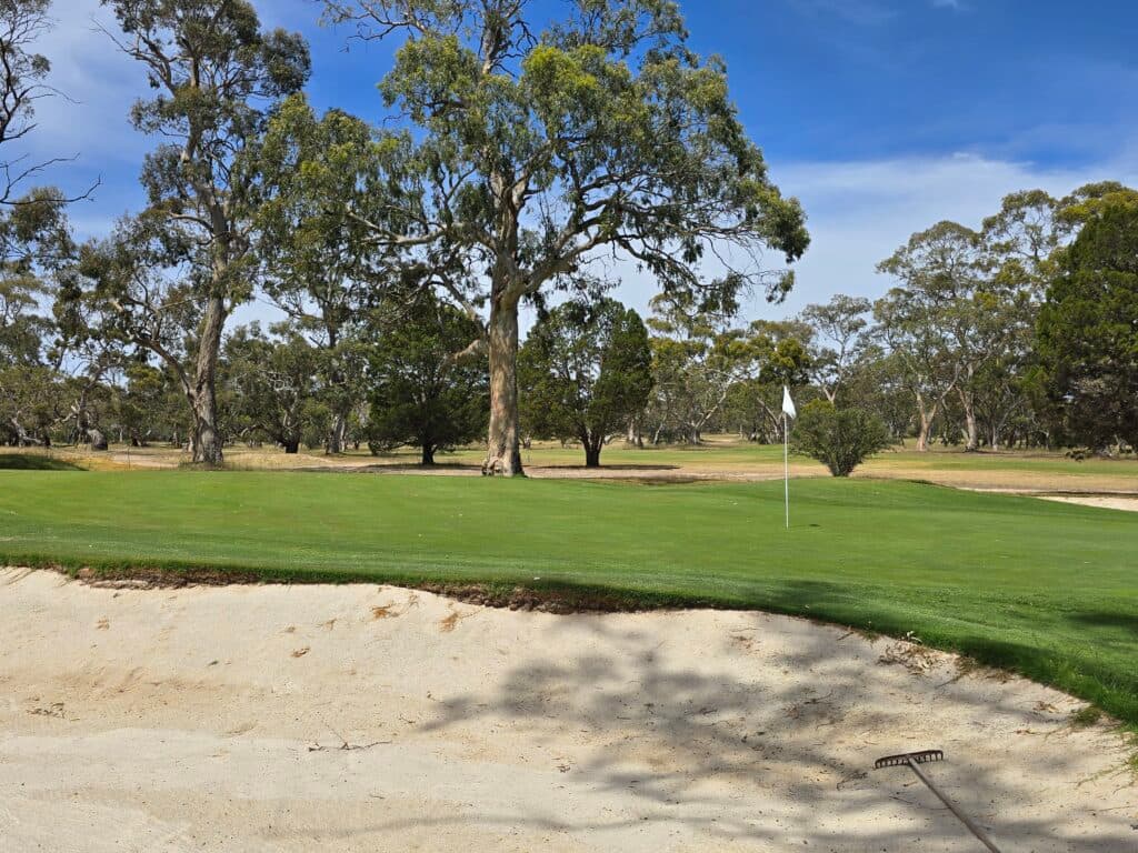 Tanunda Pines Golf Course