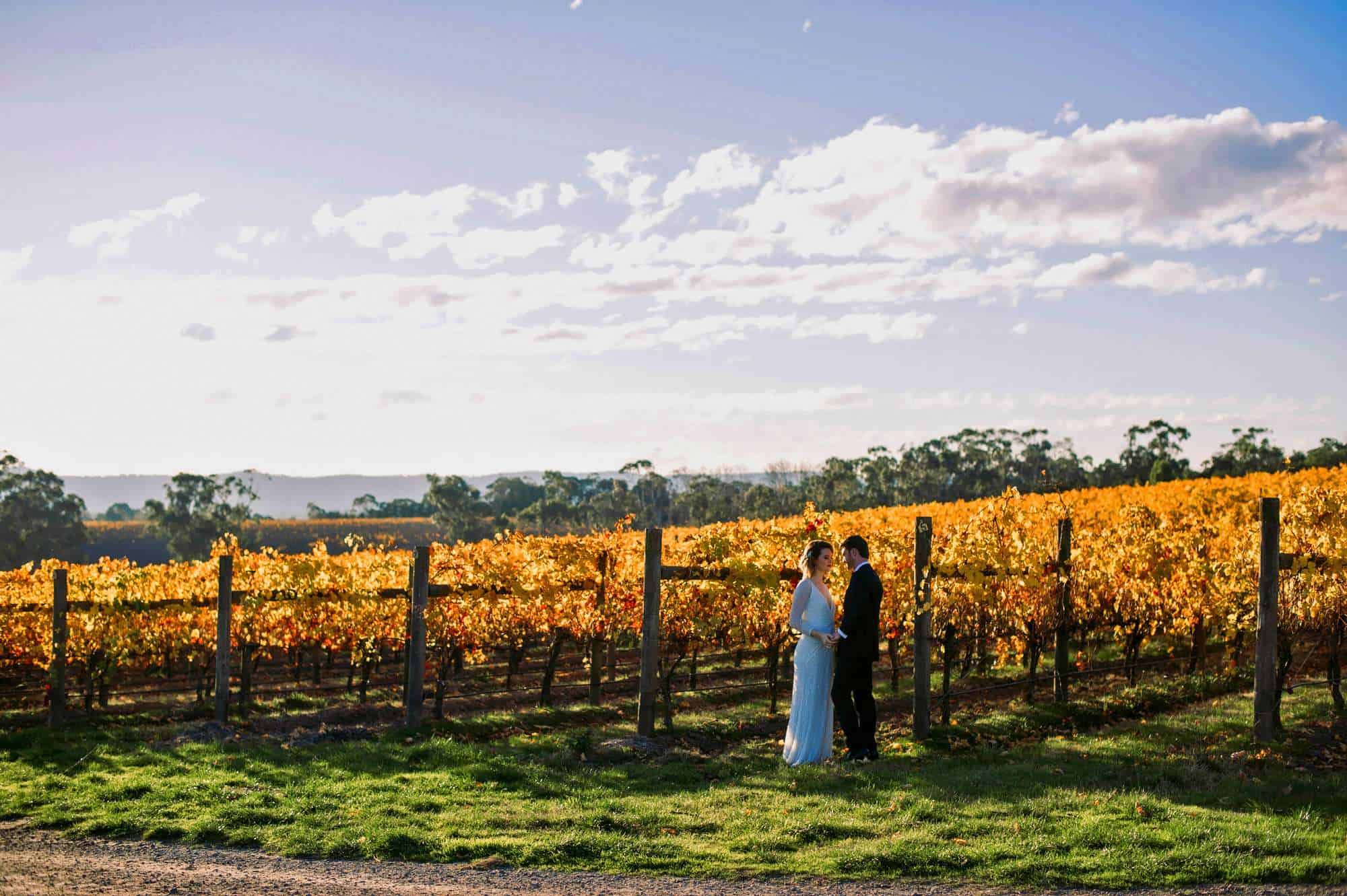 Vines of the Yarra Valley - Wedding Reception & Function Venue