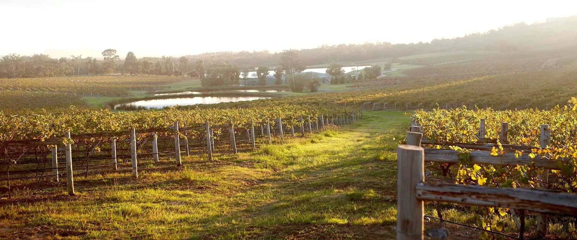 Audrey Wilkinson, Hunter Valley