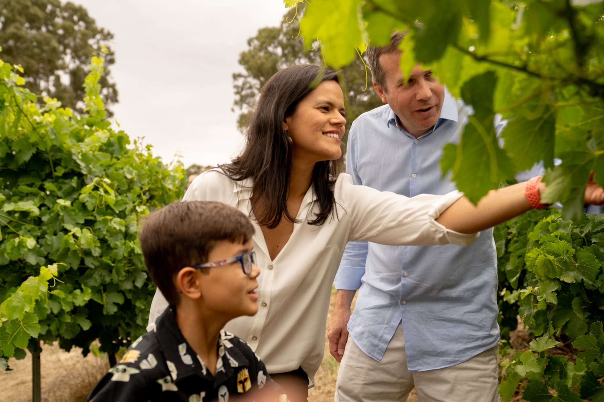 Lambert Estate Wines