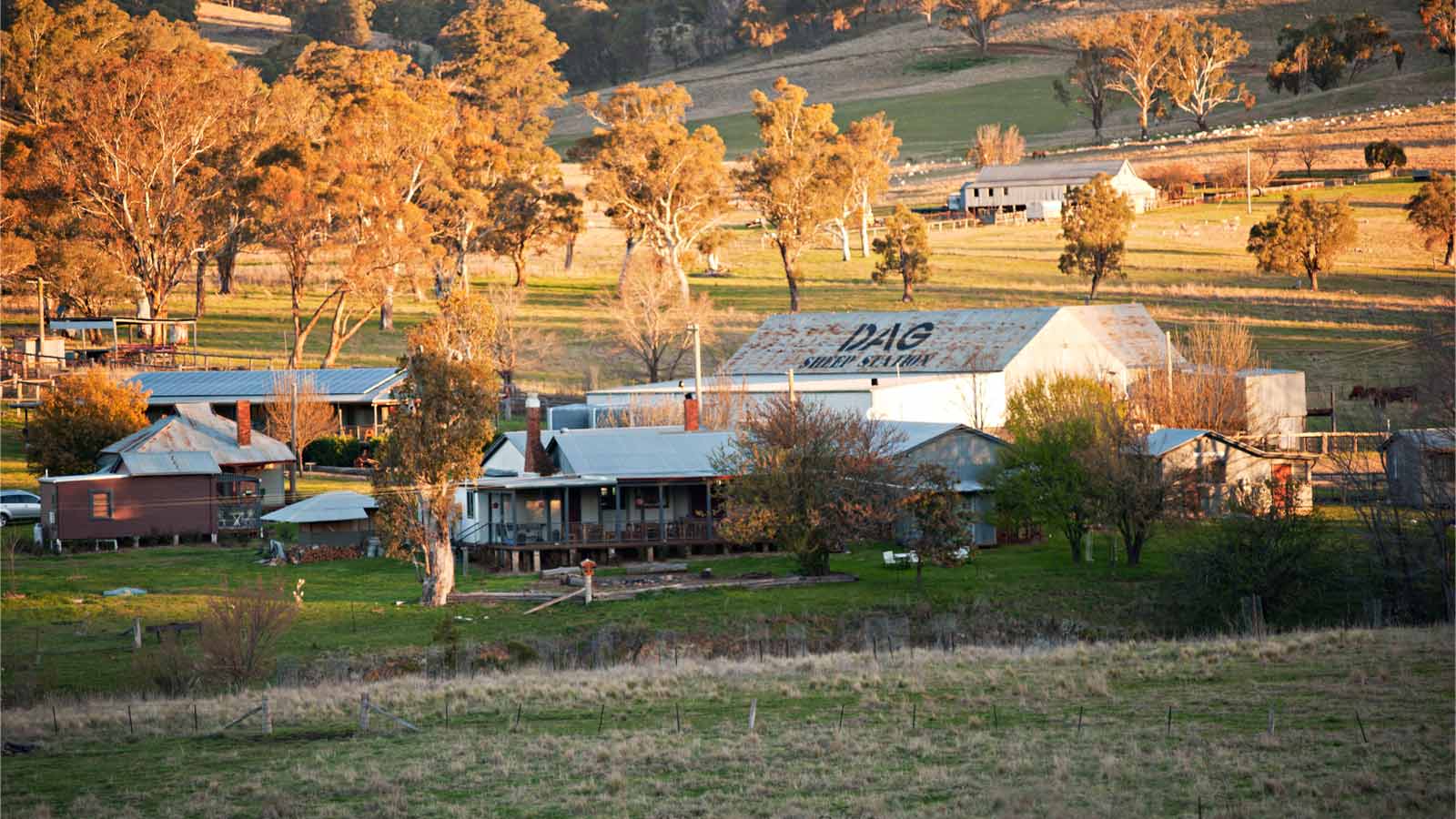 Dag Sheep Station
