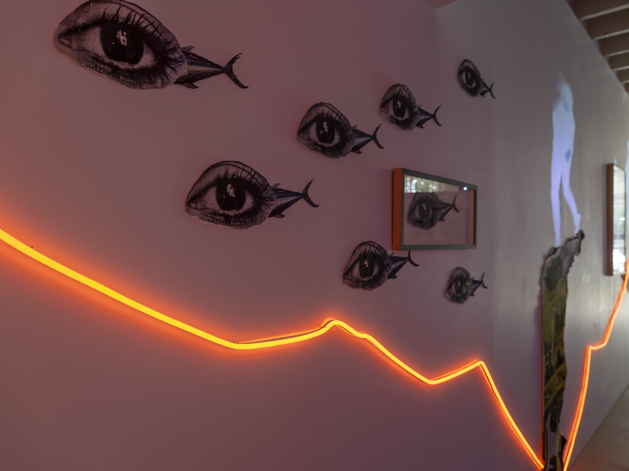 Jan Manton Gallery
