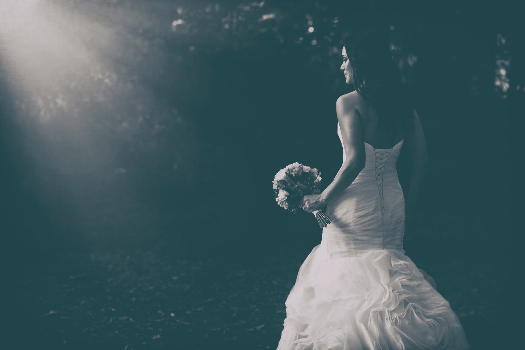 Elope Coffs Coast