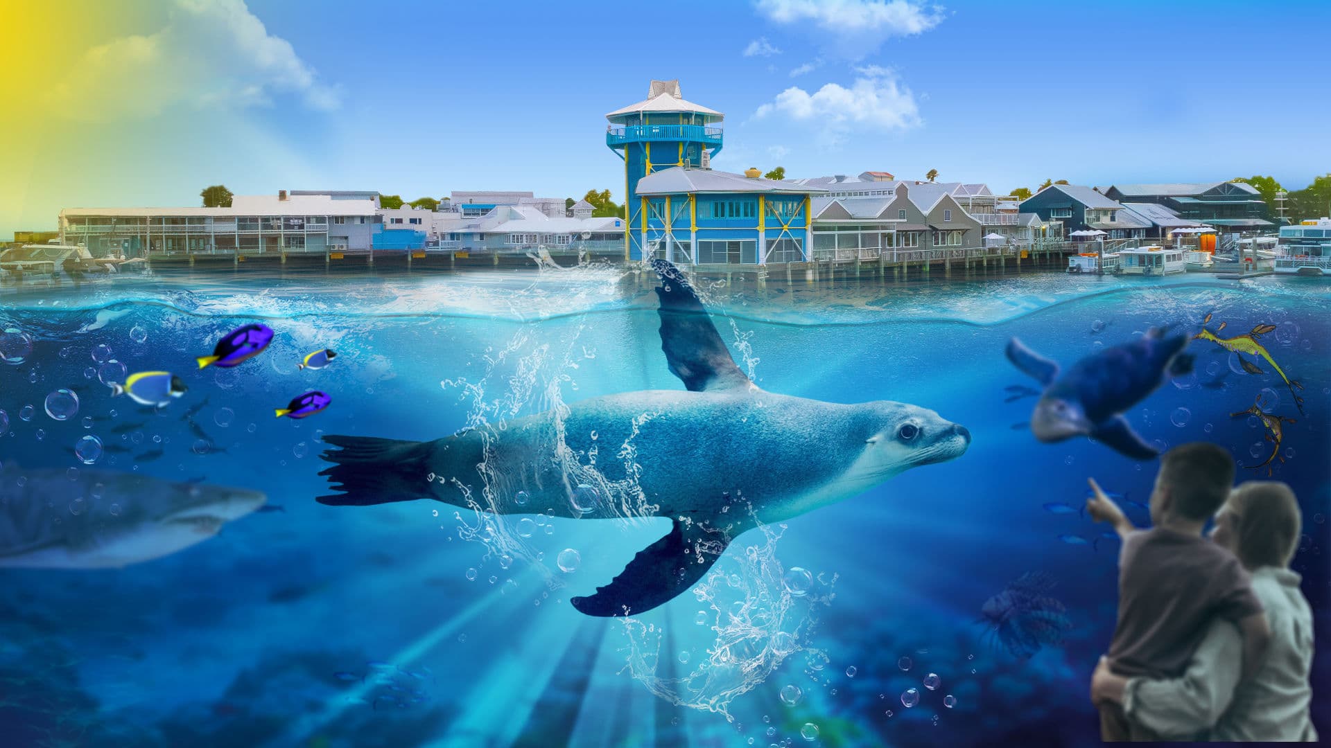 SEA LIFE Sunshine Coast Aquarium