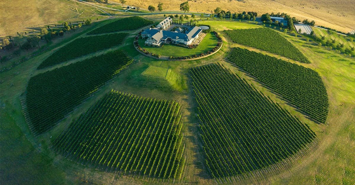 Levantine Hill Estate